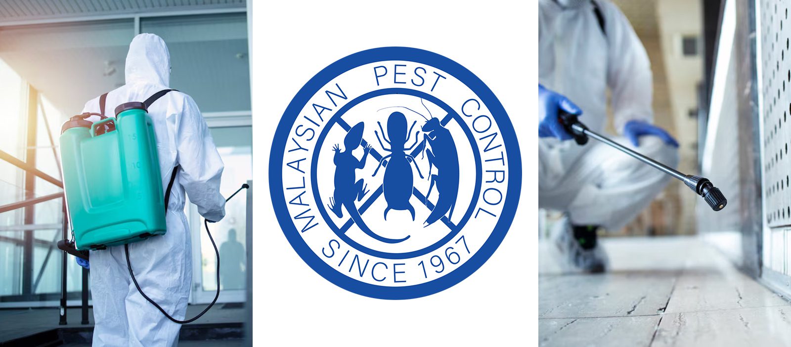 malaysian-pest-control-top-img